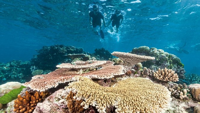 Great Barrier Reef